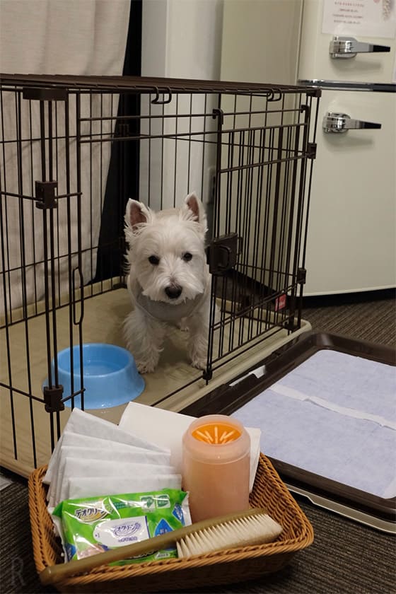 犬用の備品はかなり充実