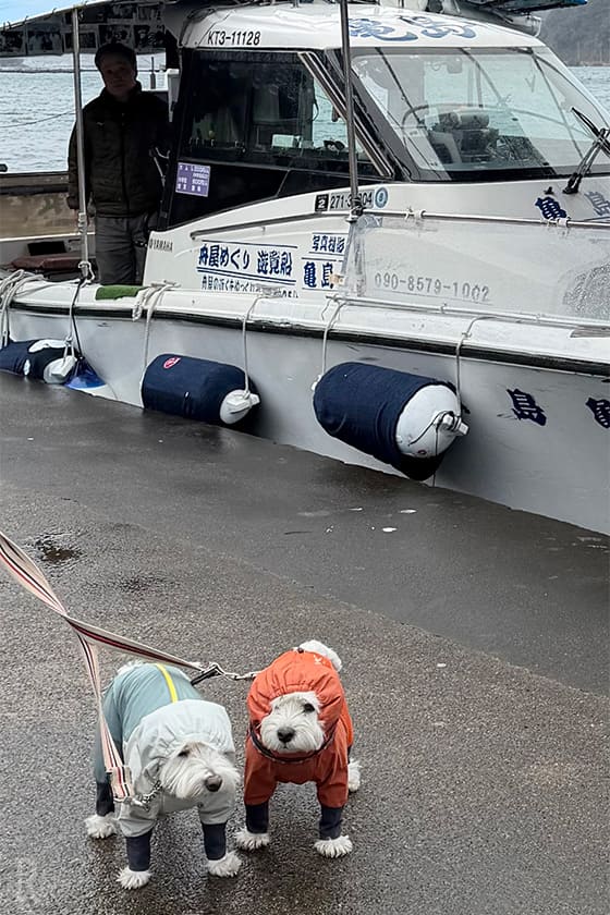 京都の天橋立・伊根の舟屋観光まで犬連れで楽しめる