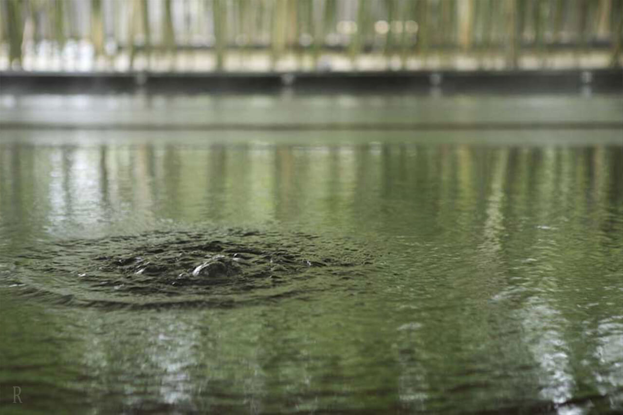 徒歩約3分の源泉100％かけ流しの天然温泉「片岡温泉」