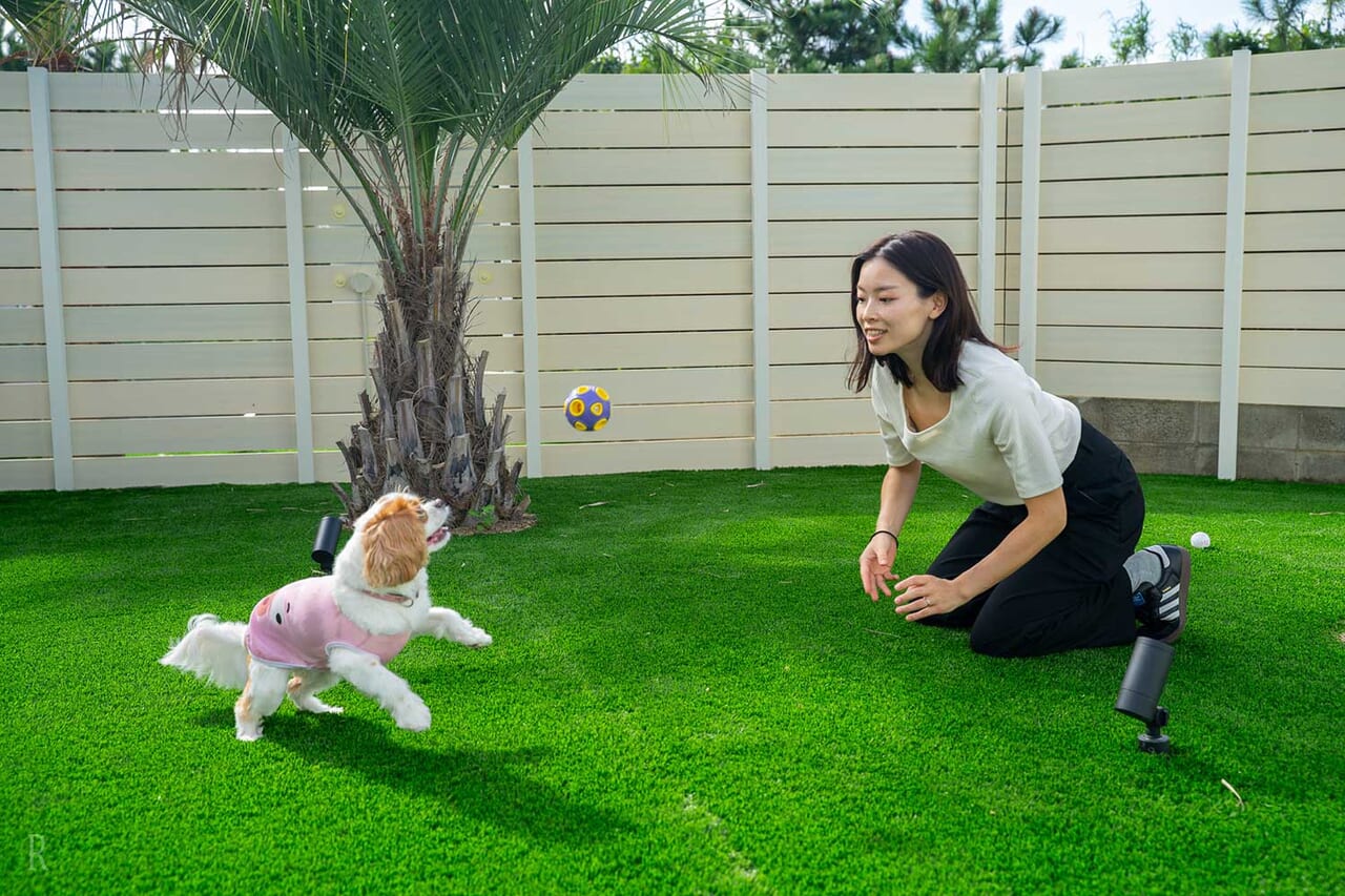 プライベートドッグラン