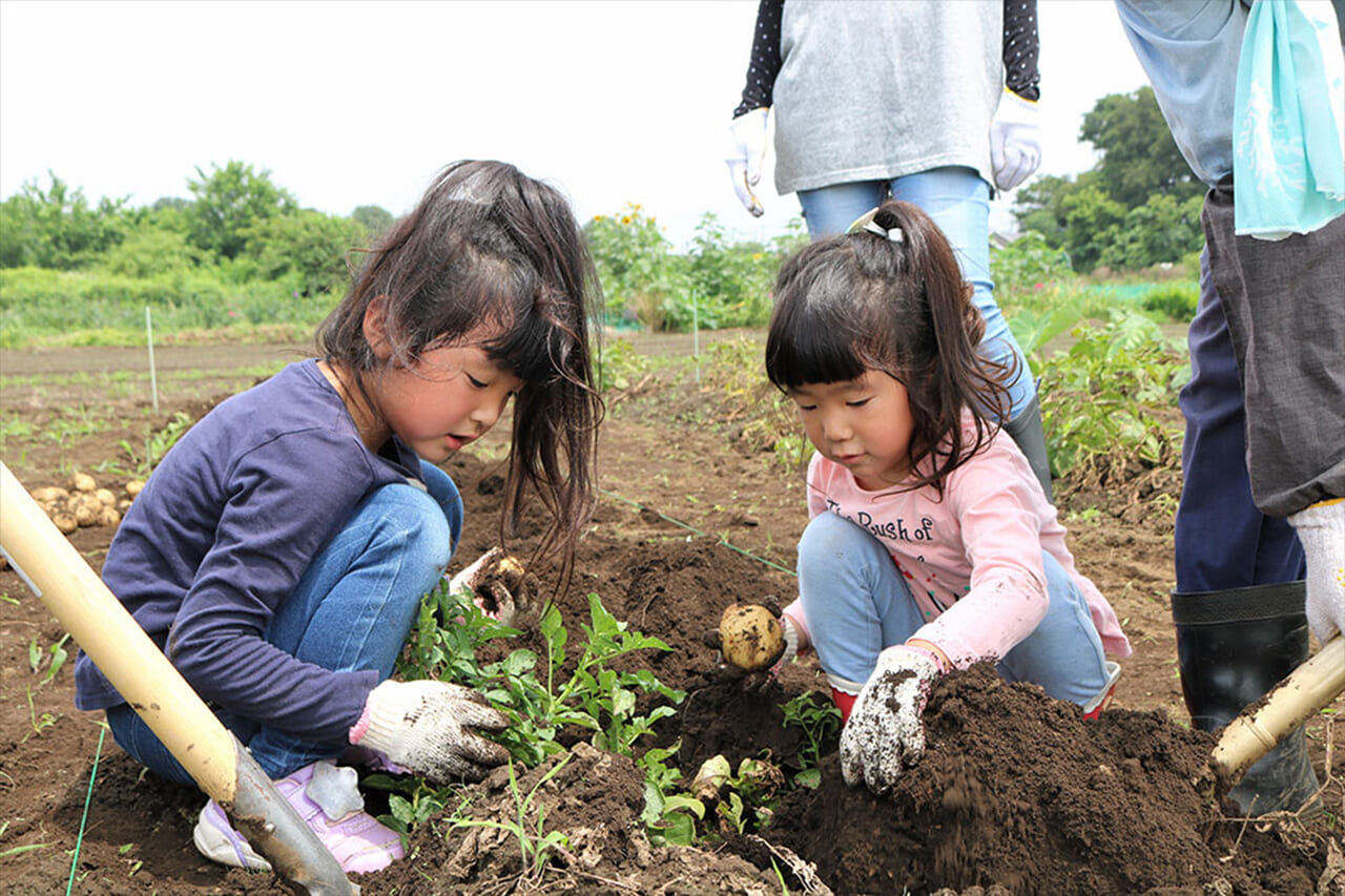 五感で楽しむ体験型アクティビティと癒やしの夜