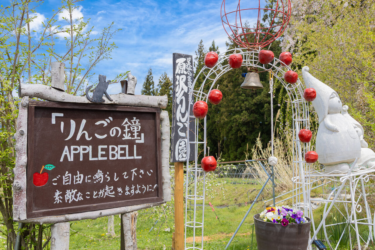 創業50周年「原沢りんご園」の完熟りんご