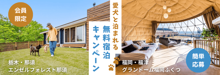 愛犬と泊まれる無料宿泊キャンペーン