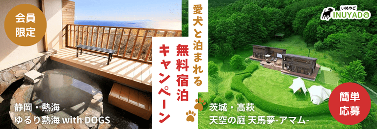 愛犬と泊まれる無料宿泊キャンペーン